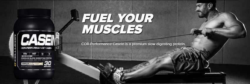 Cellucor Cor Performance Casein