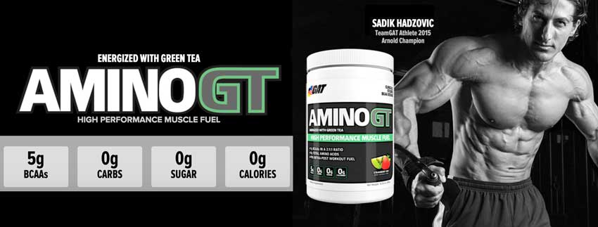 GAT Amino GT