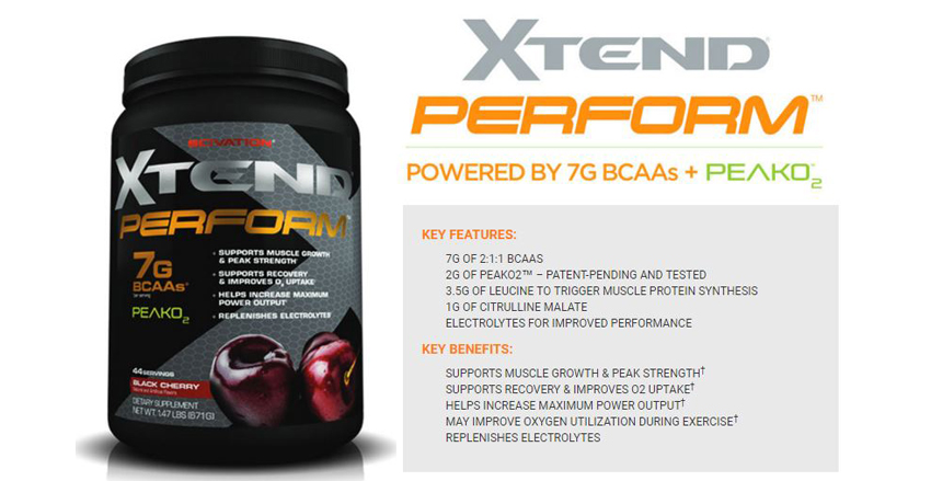 Scivation Xtend Perform