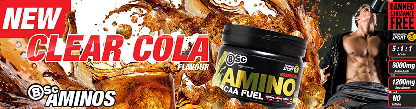 Amino BCAA Fuel Body Science