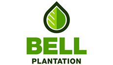 Bell Plantation PB2